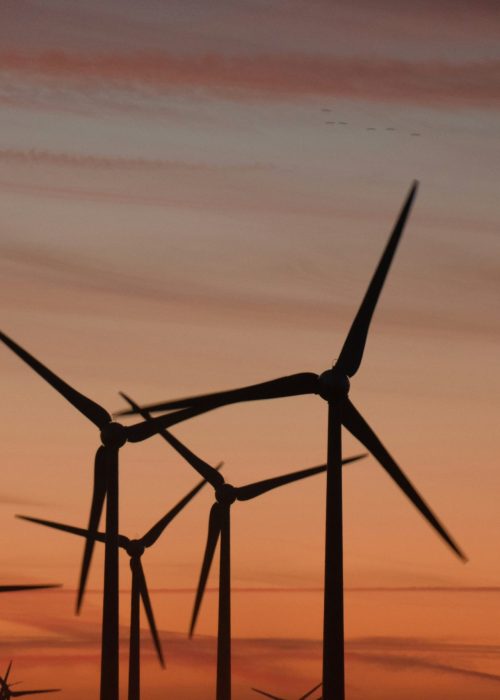 windmills-in-the-sunset-stockpack-unsplash Windmills in the sunset